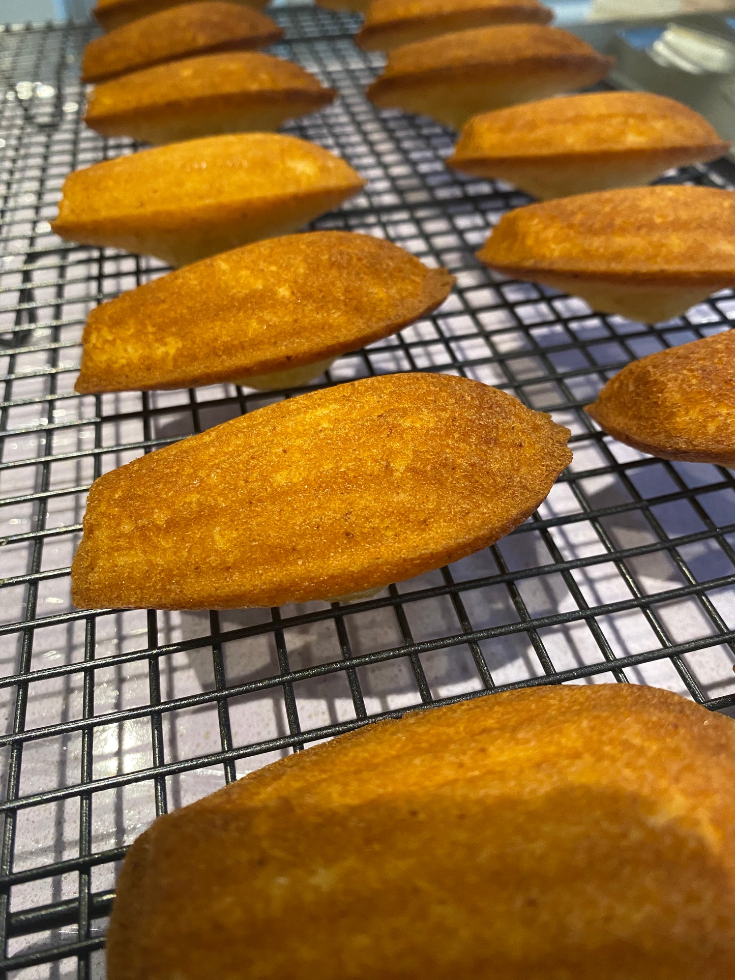 Madeleine 10 pcs Box