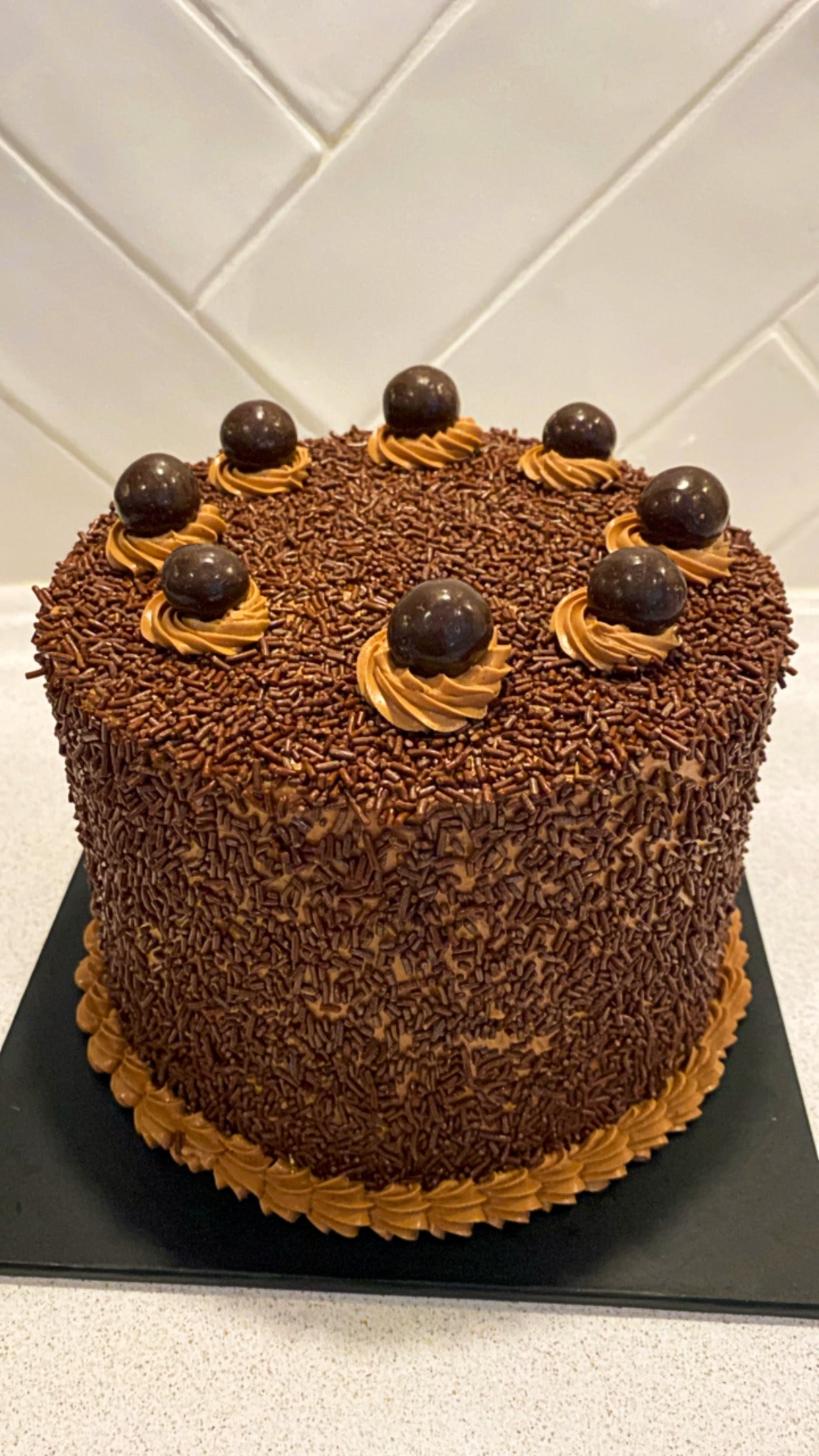 Chocolate Pandan Cake