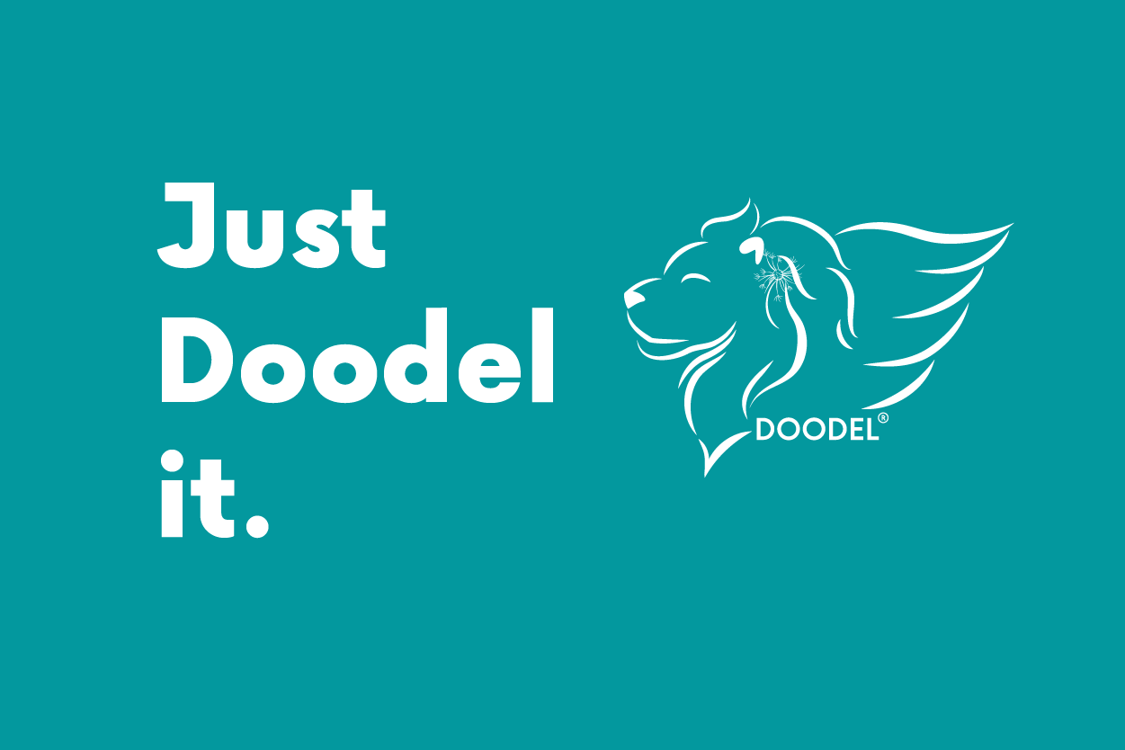 Partner Subscription